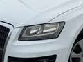 Audi Q5 Q5 2,0 TDI quattro DPF S-tronic | Panorama | Weiß - thumbnail 7