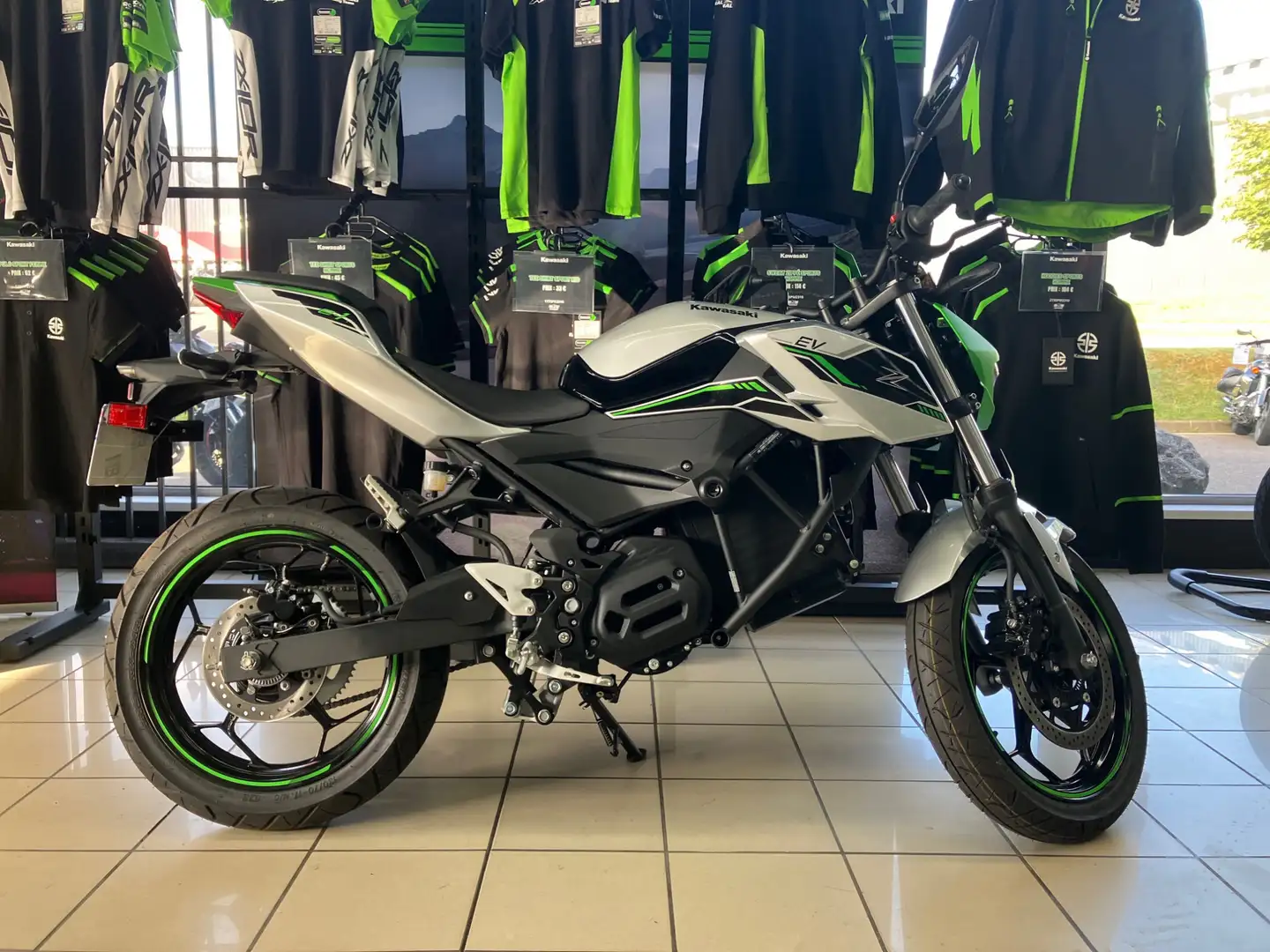 Kawasaki Gris - 1