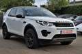 Land Rover Discovery Sport SE AWD LEDER/NAVI/PANO/AHK/7 Sitzer /Garantie Weiß - thumbnail 8