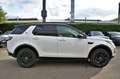 Land Rover Discovery Sport SE AWD LEDER/NAVI/PANO/AHK/7 Sitzer /Garantie Weiß - thumbnail 13