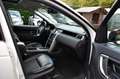 Land Rover Discovery Sport SE AWD LEDER/NAVI/PANO/AHK/7 Sitzer /Garantie Weiß - thumbnail 21