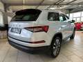 Skoda Kodiaq Tour 1.5 TSI ACT DSG Navi Matrix ACC SHZ Silber - thumbnail 7