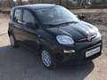 Fiat Panda MY24 1.0 Klima PDC Citypaket Schwarz - thumbnail 2