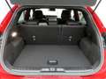 Ford Puma 1.0 M-Hybrid Aut ST-Line AHK+ACC+360°Kam. Rot - thumbnail 8