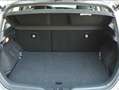 Toyota Auris 1.2 Turbo Team Deutschland - Keyfree, CAM, SHZ, BT Grau - thumbnail 13
