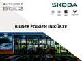Skoda Fabia Tour 1.0 TSI Navi DigiCock LED Kamera Keyl Schwarz - thumbnail 1