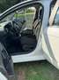 Citroen C3 C3 1,4 Jubiläums Collection Jubiläums Collection Weiß - thumbnail 7