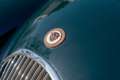Jaguar XK 120 Cabriolet - Matching numbers - Année 1954 BVM Verde - thumbnail 19