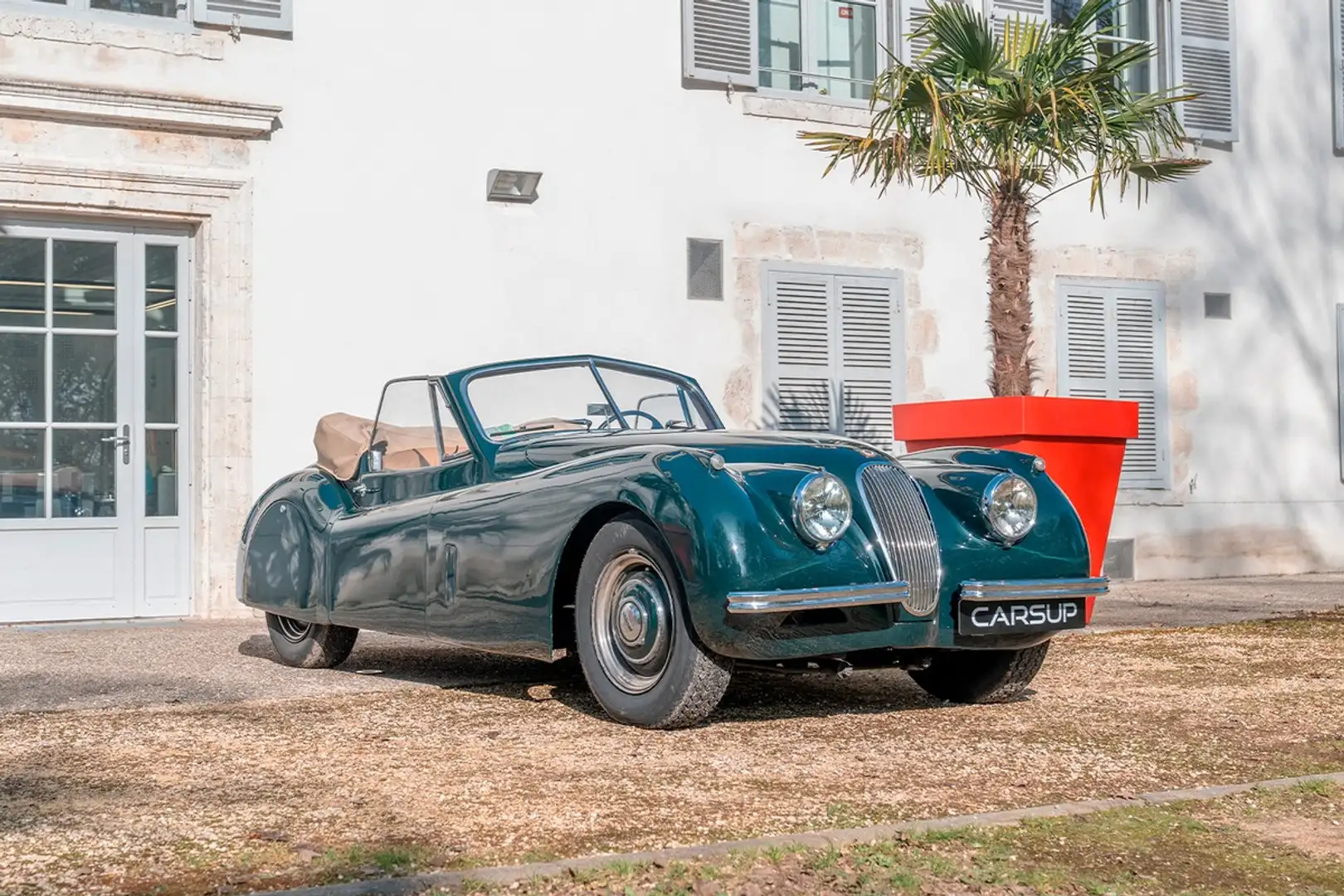 Jaguar XK 120 Cabriolet - 1954 - Matching numbers Vert - 1