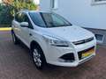 Ford Kuga 2,0 TDCI Titanium 4x4 Automatik Weiß - thumbnail 4