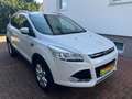 Ford Kuga 2,0 TDCI Titanium 4x4 Automatik Weiß - thumbnail 11
