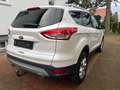Ford Kuga 2,0 TDCI Titanium 4x4 Automatik Weiß - thumbnail 5
