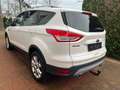 Ford Kuga 2,0 TDCI Titanium 4x4 Automatik Weiß - thumbnail 6