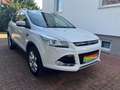 Ford Kuga 2,0 TDCI Titanium 4x4 Automatik Weiß - thumbnail 13