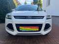 Ford Kuga 2,0 TDCI Titanium 4x4 Automatik Weiß - thumbnail 7