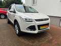 Ford Kuga 2,0 TDCI Titanium 4x4 Automatik Weiß - thumbnail 4