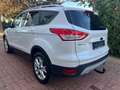 Ford Kuga 2,0 TDCI Titanium 4x4 Automatik Weiß - thumbnail 5