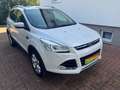 Ford Kuga 2,0 TDCI Titanium 4x4 Automatik Weiß - thumbnail 14