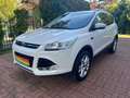 Ford Kuga 2,0 TDCI Titanium 4x4 Automatik Weiß - thumbnail 2