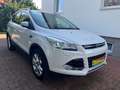 Ford Kuga 2,0 TDCI Titanium 4x4 Automatik Weiß - thumbnail 9