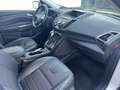 Ford Kuga 2,0 TDCI Titanium 4x4 Automatik Weiß - thumbnail 17