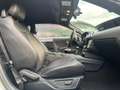 Ford Mustang 2.3 Ecoboost Km non Miglia Cruise PDC Kamera Post Argento - thumbnail 10