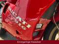 Ducati 916 Biposto Rosso - thumbnail 6