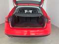 Audi A4 2.0 TDI 190 CV clean diesel quattro edition Rouge - thumbnail 10
