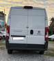 Fiat Ducato 35 MH2 2.3 mjt 130cv E6 Bianco - thumbnail 5