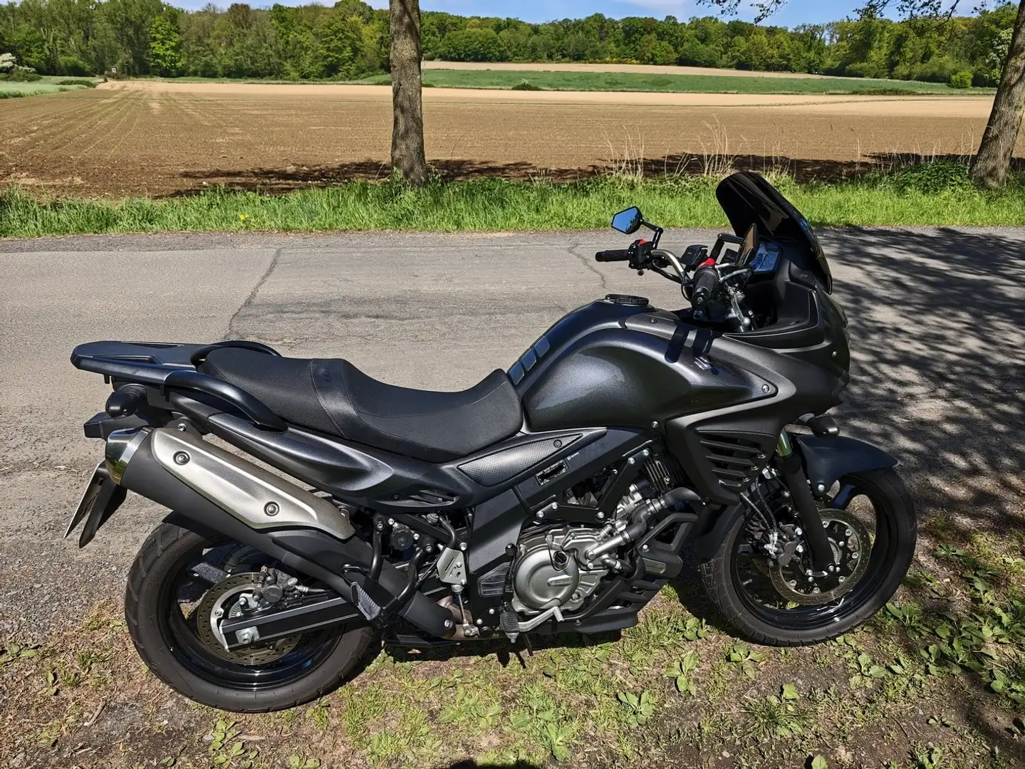 Suzuki V-Strom 650 DL650A Gris - 2
