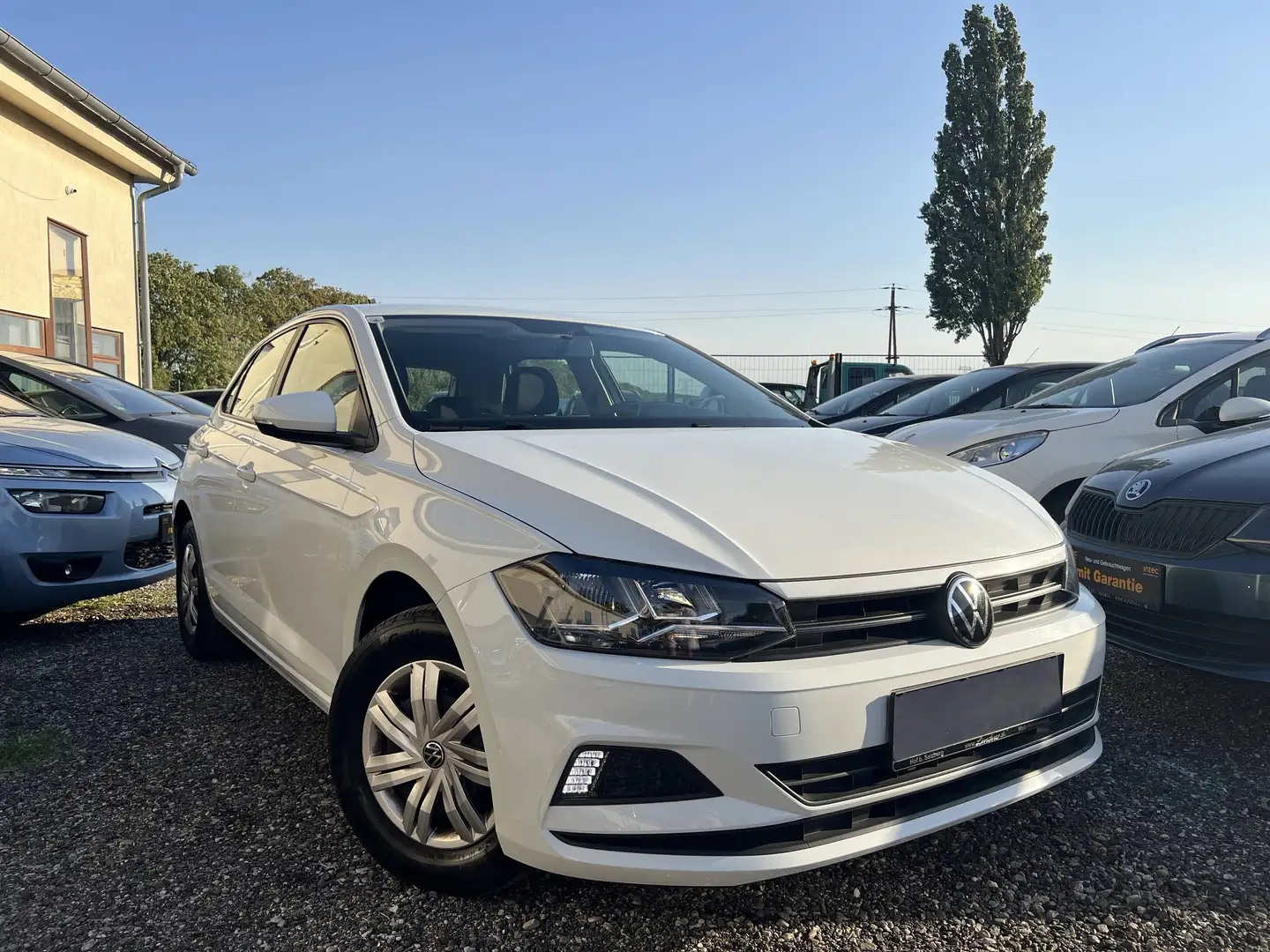 Volkswagen Polo Trendline Weiß - 1