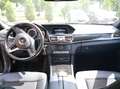 Mercedes-Benz E 220 E-Klasse T-Modell Diesel T BlueTEC BlueEFFICIENCY Edition 9G-TRONIC Avantgarde Grau - thumbnail 6
