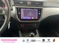 SEAT Ibiza Style 1.0 TSI Navi Einparkhilfe Beasts-Sound Weiß - thumbnail 12