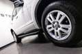 Ford Explorer XLT Btw auto, Fiscale waarde € 6.000,- (€ 18.966,9 Blanc - thumbnail 9