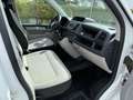 Volkswagen T6 Transporter KASTEN 4Motion 17400€NETTO STHZG KLIMA AHK TEMP Weiß - thumbnail 11