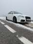 Audi A4 2.0TDI DPF 170 - thumbnail 2