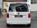 Volkswagen Caddy *AUTOM.ROLLSTUHLIFT*ELEKT.HECKKLAPPE*BEHIND Wit - thumbnail 12