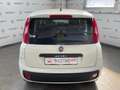 Fiat Panda 1.0 firefly 69CV hybrid - GARANZIA UFFICIALE Bianco - thumbnail 5