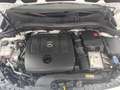 Mercedes-Benz B 180 B 180 Automatic Sport Plus Weiß - thumbnail 15