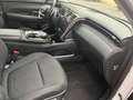 Hyundai TUCSON 1.6 TGDI 48V Tecno 2C 4x2 DT Blanco - thumbnail 10