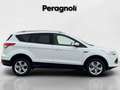 Ford Kuga 2.0 TDCI 4WD BUSINESS Weiß - thumbnail 4