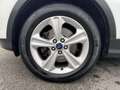 Ford Kuga 2.0 TDCI 4WD BUSINESS Weiß - thumbnail 9