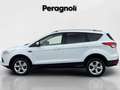 Ford Kuga 2.0 TDCI 4WD BUSINESS Weiß - thumbnail 8