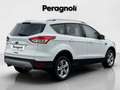 Ford Kuga 2.0 TDCI 4WD BUSINESS Weiß - thumbnail 5