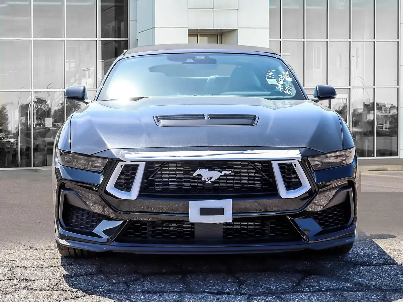 Ford Mustang photo Ford Mustang