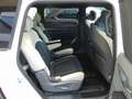 Kia EV9 4WD GT-Line Launch Edition Weiß - thumbnail 14