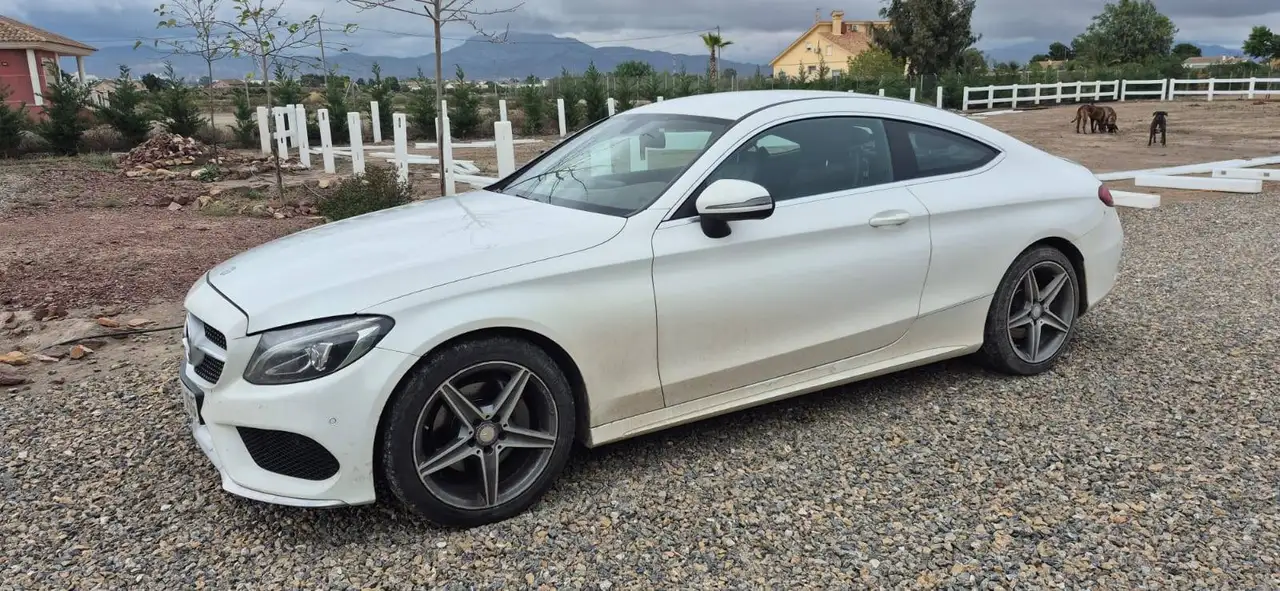 Mercedes-Benz C 220