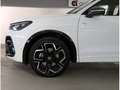 Volkswagen Tiguan 2,0 TDI DSG 4Motion R-Line *AHK*HUD Bianco - thumbnail 4