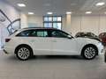 Audi A4 avant 30 2.0 tdi mhev 136cv business s tronic Bianco - thumbnail 5