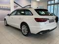 Audi A4 avant 30 2.0 tdi mhev 136cv business s tronic Bianco - thumbnail 7